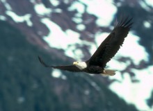 2222222 22222222222 2222…